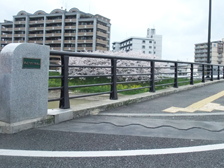 みらい大橋（福岡県）
